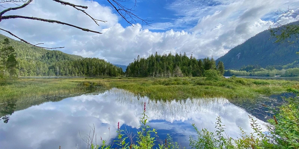 DL 972 16 HIGHWAY Port Edward Photo 3 DL 972 16 HIGHWAY Port Edward Photo 3